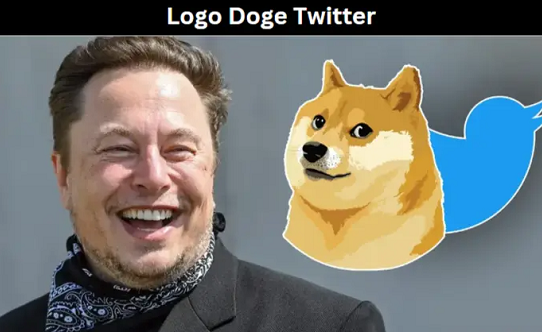 Logo Doge Twitter